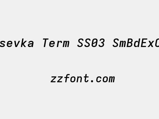 Iosevka Term SS03 SmBdExObl