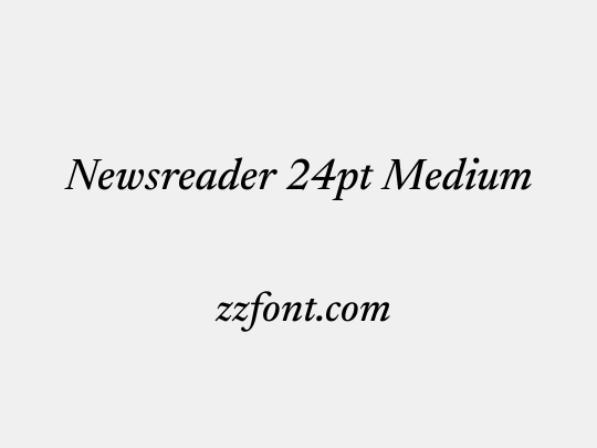 Newsreader 24pt Medium