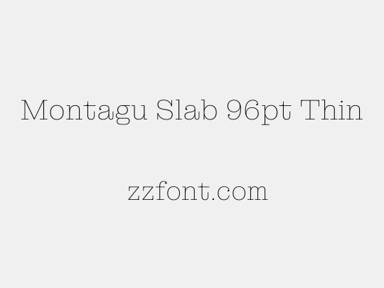 Montagu Slab 96pt Thin