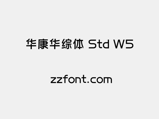 华康华综体 Std W5