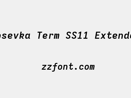 Iosevka Term SS11 Extended