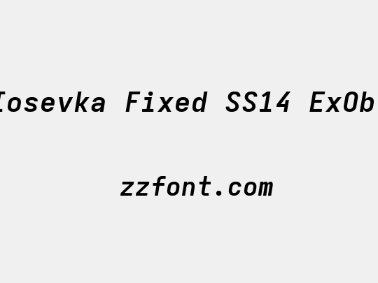 Iosevka Fixed SS14 ExObl