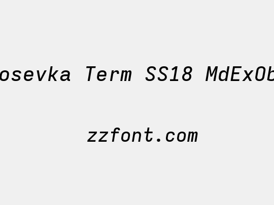 Iosevka Term SS18 MdExObl