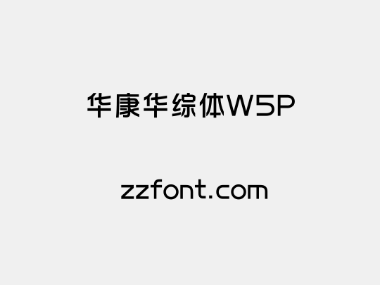 华康华综体W5P