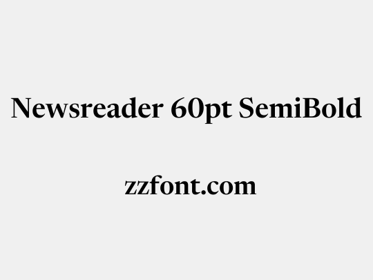 Newsreader 60pt SemiBold