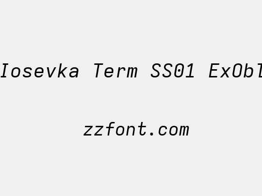 Iosevka Term SS01 ExObl