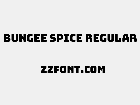 Bungee Spice Regular