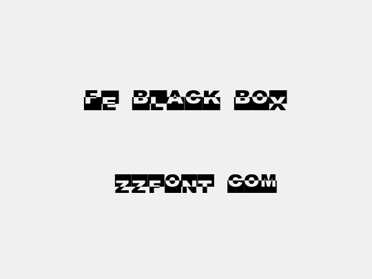 FE Black Box