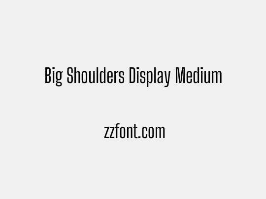 Big Shoulders Display Medium