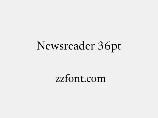 Newsreader 36pt