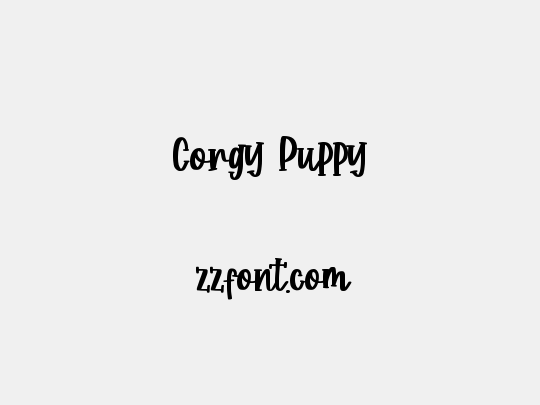 Corgy Puppy