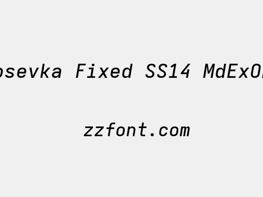 Iosevka Fixed SS14 MdExObl