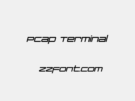 PCap Terminal