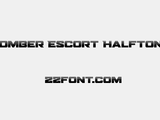 Bomber Escort Halftone