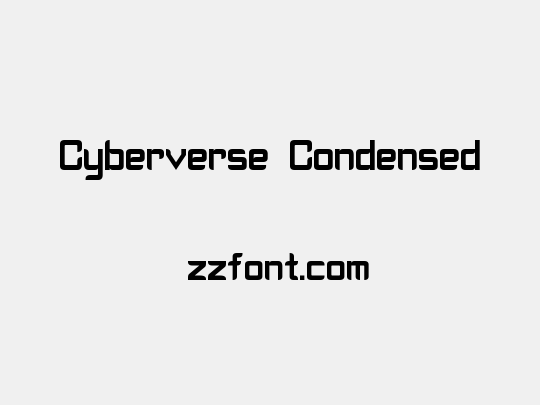 Cyberverse Condensed