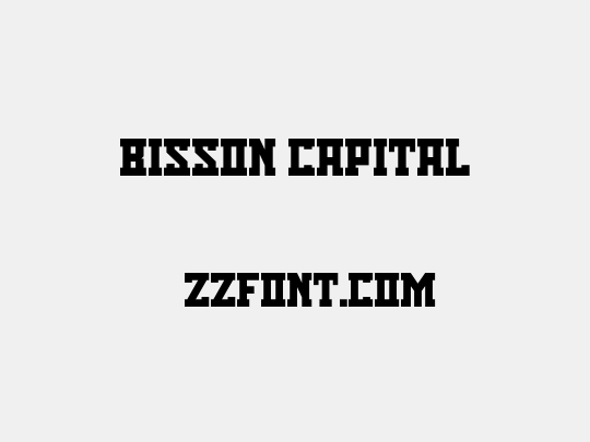Bisson Capital