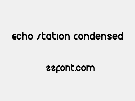 Echo Station Condensed