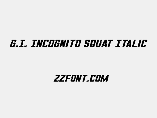 G.I. Incognito Squat Italic