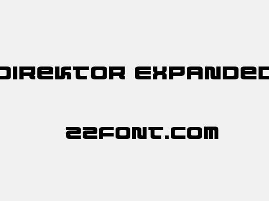 Direktor Expanded