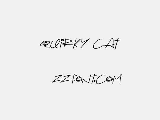 Quirky Cat