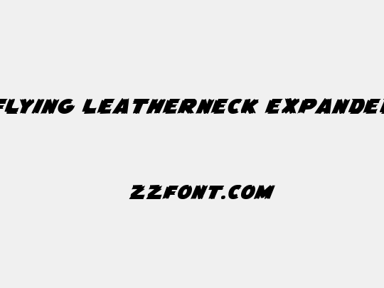 Flying Leatherneck Expanded