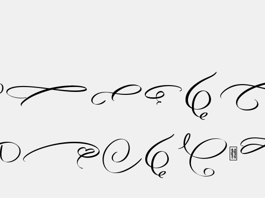 Angella Gardness Swash