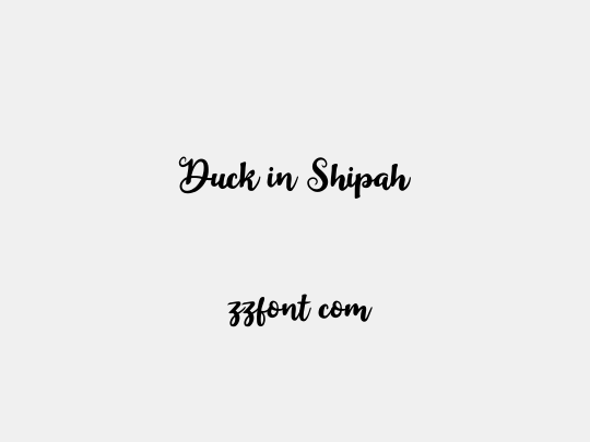 Duck in Shipah