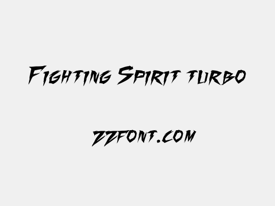 Fighting Spirit turbo