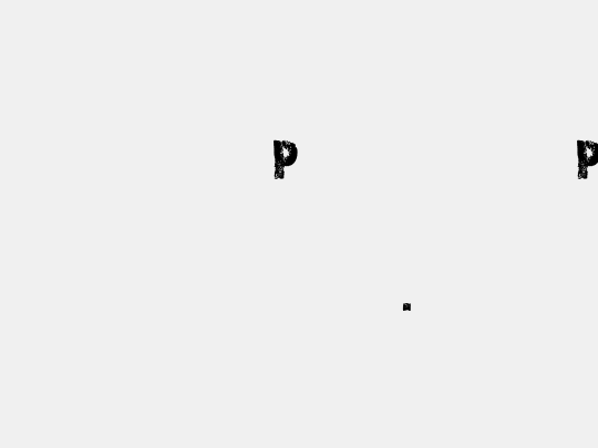 CF Snowboard Project PERSONAL