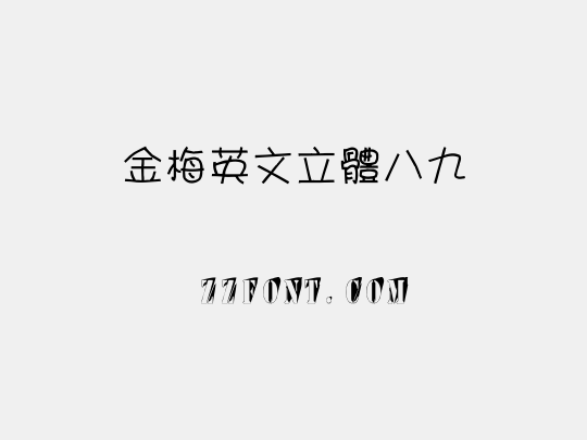 金梅英文立體八九