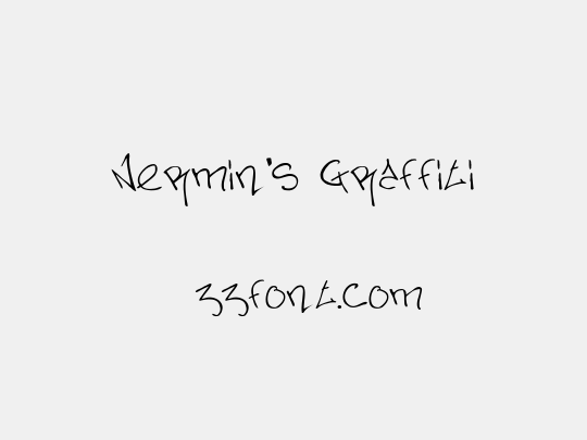 Nermin's Graffiti