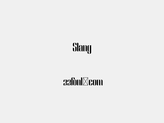 Slang