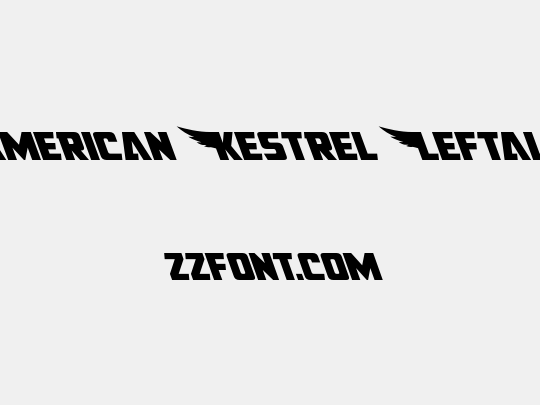 American Kestrel Leftalic