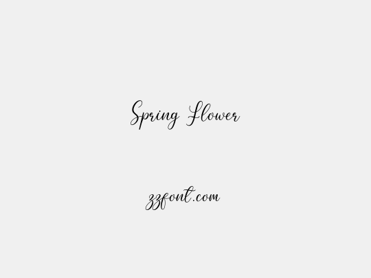 Spring Flower