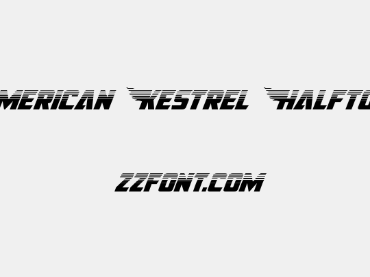 American Kestrel Halftone