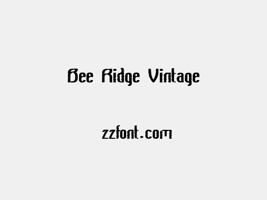 Bee Ridge Vintage