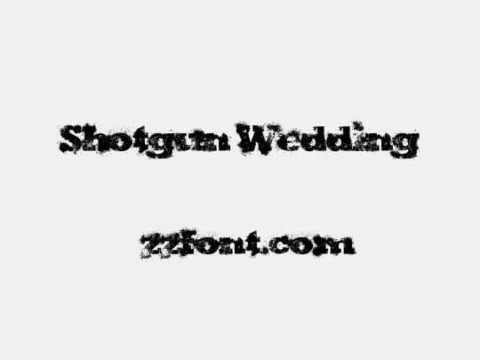 Shotgun Wedding