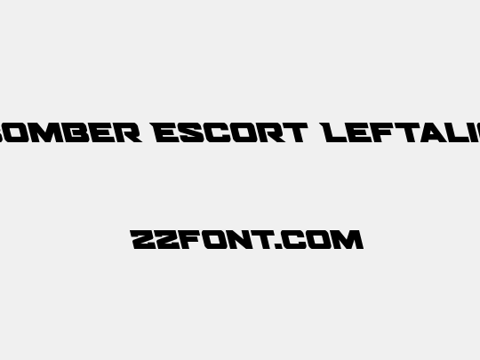 Bomber Escort Leftalic