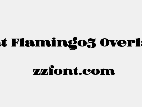 Fat Flamingo5 Overlay