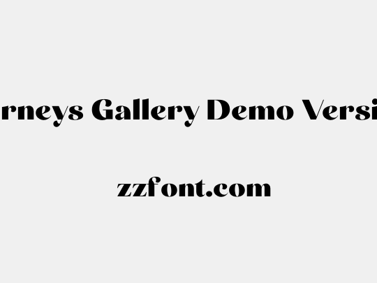 Carneys Gallery Demo Version