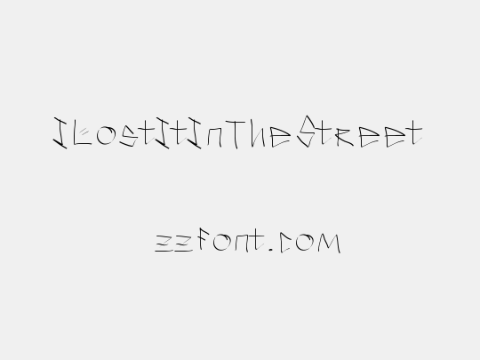 ILostItInTheStreet