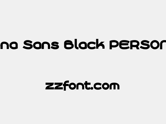 Roona Sans Black PERSONAL