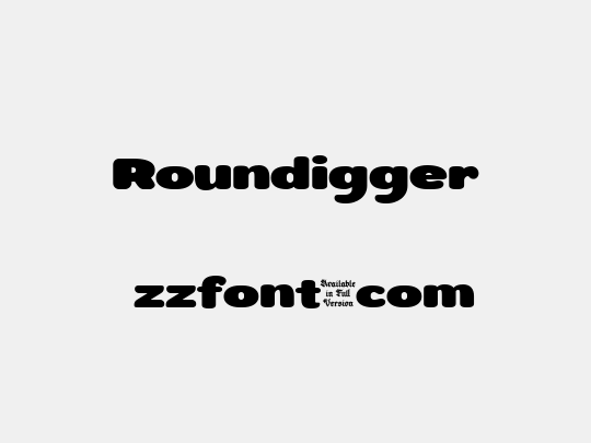 Roundigger