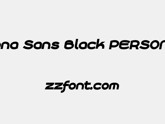 Roona Sans Black PERSONAL