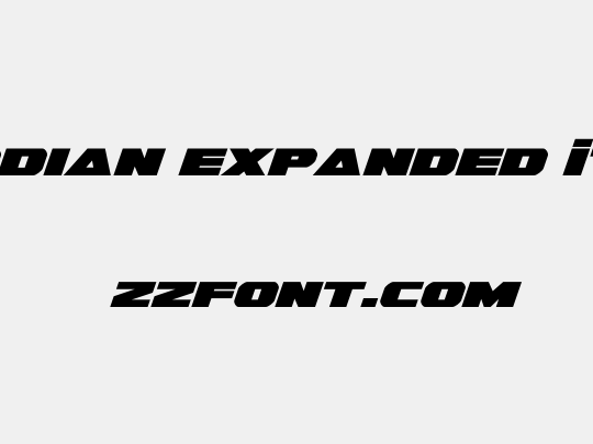 Guardian Expanded Italic