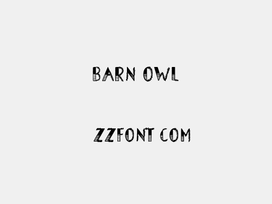 Barn Owl