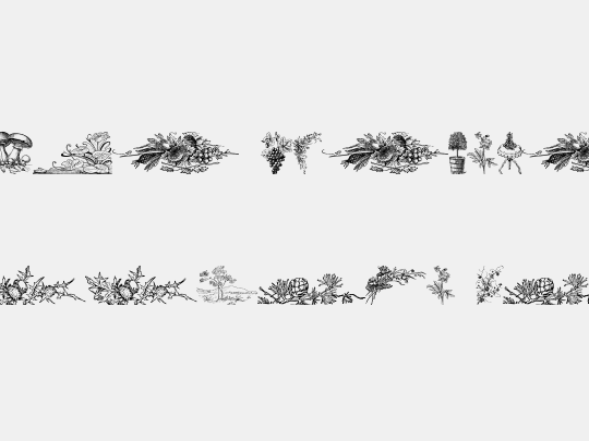 Vegetable Breathe Free