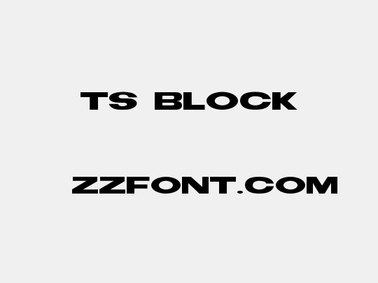 TS Block