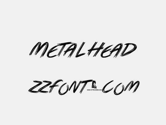 Metal Head