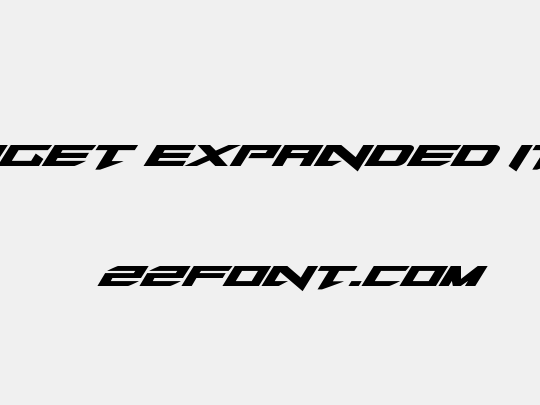 Tarrget Expanded Italic